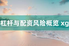 杠杆与配资风险概览 xg