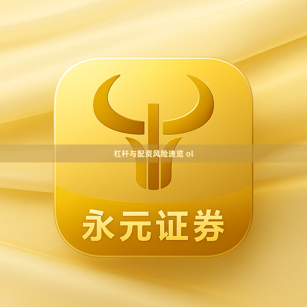 杠杆与配资风险速览 ol